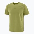 Tricou pentru bărbați Salomon Trackline cardamon seed 5