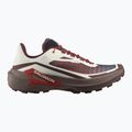 Încălțăminte de alergare pentru bărbați Salomon Genesis 2 vanilla ice/iron
