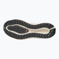 Încălțăminte de alergare pentru femei Salomon Aero Blaze 4 GRVL tapioca/vanilla ice 4