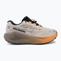 Încălțăminte de alergare pentru femei Salomon Aero Blaze 4 GRVL GTX rainy day/black 2