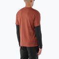 Tricou de alergare pentru bărbați Salomon Sense Aero GFX Tee SS burnt umber/coffee bean 2