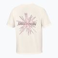 Tricou de alergare pentru bărbați Salomon Shakeout Core GFX SS Tee whisper white/pink frosting 6