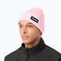 Căciulă de iarnă Salomon Classic icy pink 2