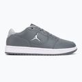 Buty męskie  Nike Jordan Access Court Low smoke grey/white/light smoke grey 2