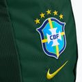Rucsac Nike Academy Brazil 30 l pro green 4