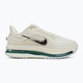 Încălțăminte de alergare pentru femei Nike Pegasus Premium sea glass/malachite/metallic silver 2