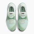 Încălțăminte de antrenament pentru femei Nike Metcon 10 barely green/steam/light silver/black 5