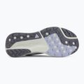 Încălțăminte de alergare pentru femei Nike ACG Pegasus Trail ghost/mineral slate/cement grey 4