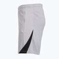 Pantaloni scurți de fotbal pentru bărbați Nike Paris Saint-Germain Strike SE atmosphere grey/black/black 8