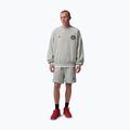 Pantaloni scurți pentru bărbați Nike Jordan Fleece grey heather/black 2