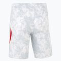 Pantaloni scurți de fotbal pentru bărbați Nike Dri-Fit Poland Stadium Home white/field silver 2