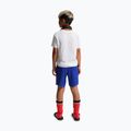 Pantaloni scurți de fotbal pentru copii Nike Paris Saint-Germain Dri-Fit Stadium old royal/white 3