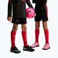 Pantaloni scurți de fotbal pentru copii Nike Paris Saint-Germain Strike black/hyper royal/global red/global red