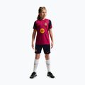 Tricou de fotbal pentru copii Nike FC Barcelona Strike Dri-Fit noble red/blackened blue 3
