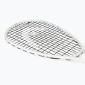 Rachetă de squash HEAD Vibe Elite 5