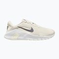 Încălțăminte de antrenament pentru bărbați Nike Flex Train phantom/white/sail/pencil point