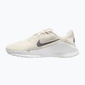 Încălțăminte de antrenament pentru bărbați Nike Flex Train phantom/white/sail/pencil point 2