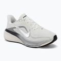 Încălțăminte de alergare pentru femei Nike Pegasus 42 summit white/sail/black/metallic silver