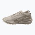 Încălțăminte de alergare pentru femei Nike ACG Pegasus Trail GORE-TEX Cream Ii/Light Orewood Brown 2
