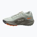 Încălțăminte de alergare pentru femei Nike ACG Pegasus Trail GORE-TEX Light Silver/Light Army/Light Silver 2