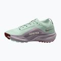 Încălțăminte de alergare pentru femei Nike ACG Pegasus Trail GORE-TEX Barely Green/Silver Lilac/Light Bone 2