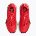 Pantofi de alergare bărbați Nike ACG Zegama Trail light crimson/light orewood brown/black/black 4