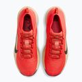 Încălțăminte de alergare pentru bărbați Nike ACG Pegasus Trail GORE-TEX Light Crimson/Linen/Black 5