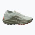 Încălțăminte de alergare pentru bărbați Nike ACG Pegasus Trail GORE-TEX Light Silver/Light Army/Light Silver