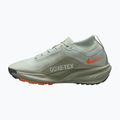 Încălțăminte de alergare pentru bărbați Nike ACG Pegasus Trail GORE-TEX Light Silver/Light Army/Light Silver 2