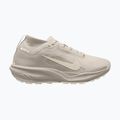 Încălțăminte de alergare pentru bărbați Nike ACG Pegasus Trail GORE-TEX Cream Ii/Light Orewood Brown
