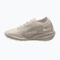 Încălțăminte de alergare pentru bărbați Nike ACG Pegasus Trail GORE-TEX Cream Ii/Light Orewood Brown 2