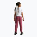 Pantaloni pentru copii Nike Sportswear Studio pink smoke/white 3
