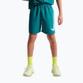 Pantaloni scurți pentru copii Nike Multi Refresh bright spruce