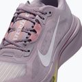 Încălțăminte de alergare pentru femei Nike Pegasus Plus 2 silver lilac/particle rose/fennel/sail 5