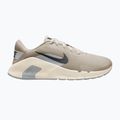 Încălțăminte de antrenament pentru bărbați Nike Flex Train cream li/pale ivory/wolf grey/anthracite