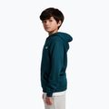 Bluză pentru copii New Balance Brush Back Small Logo Hoodie medusa green 4