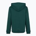 Bluză pentru copii New Balance Brush Back Small Logo Hoodie medusa green 7