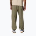 Pantaloni de trekking pentru bărbați Columbia Landroamer Scout stone green 3