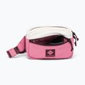 Borsetă Columbia Trail Traveler Hip sea salt/rosette/moonvista 3