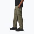 Pantaloni de trekking pentru bărbați Columbia Silver Ridge Elite Convertible stone green 4