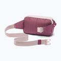 Borsetă Columbia Trail Traveler Hip 2 l mineral pink/antique mauve 2