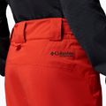 Pantaloni de schi pentru bărbați Columbia Platinum Peak Insulated super sonic 7
