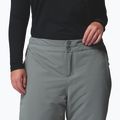 Pantaloni de schi pentru femei Columbia Bugaboo III sedona sage 5