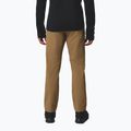 Pantaloni de cățărare pentru bărbați Columbia ROC Tech Warm Chino delta 3