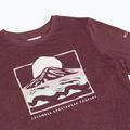 Longsleeve pentru femei Columbia Parsons Point LS Graphic Tee antique mauve heather/all terrain 8