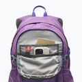 Rucsac de turism Columbia Castle Crest 25 l dark lavender 5