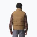 Vestă pentru bărbați Columbia Landroamer Puffer delta 3