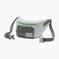 Borsetă Columbia Zigzag II Hip Pack 1 l sedona sage/tea light