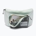 Borsetă Columbia Zigzag II Hip Pack 1 l sedona sage/tea light 4
