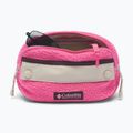 Borsetă Columbia Helvetia II Hip Pack 1 l nico/dark stone 3